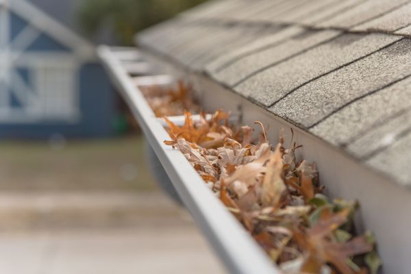 Leaf Barrier Installation in Middleburg